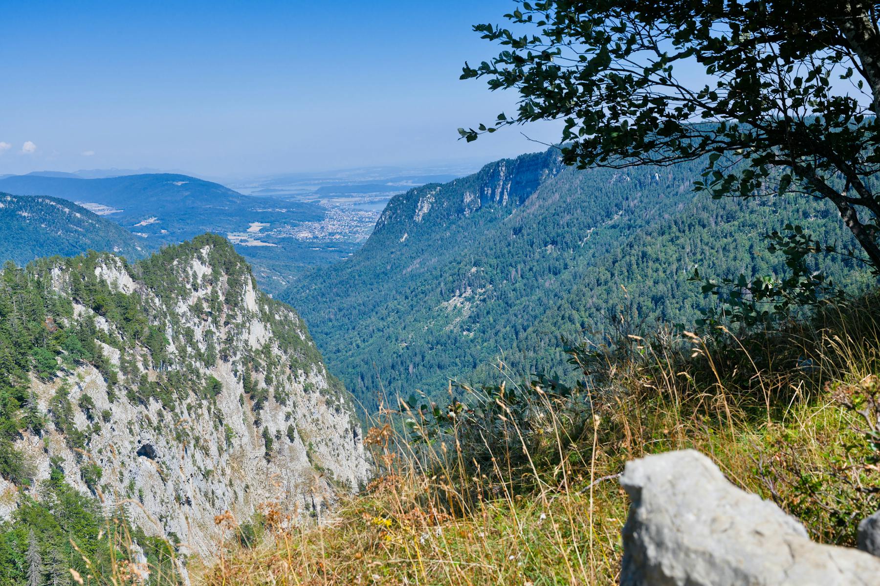 Fraser Valley vs. Okanagan - Where Should You Buy Your Next Home