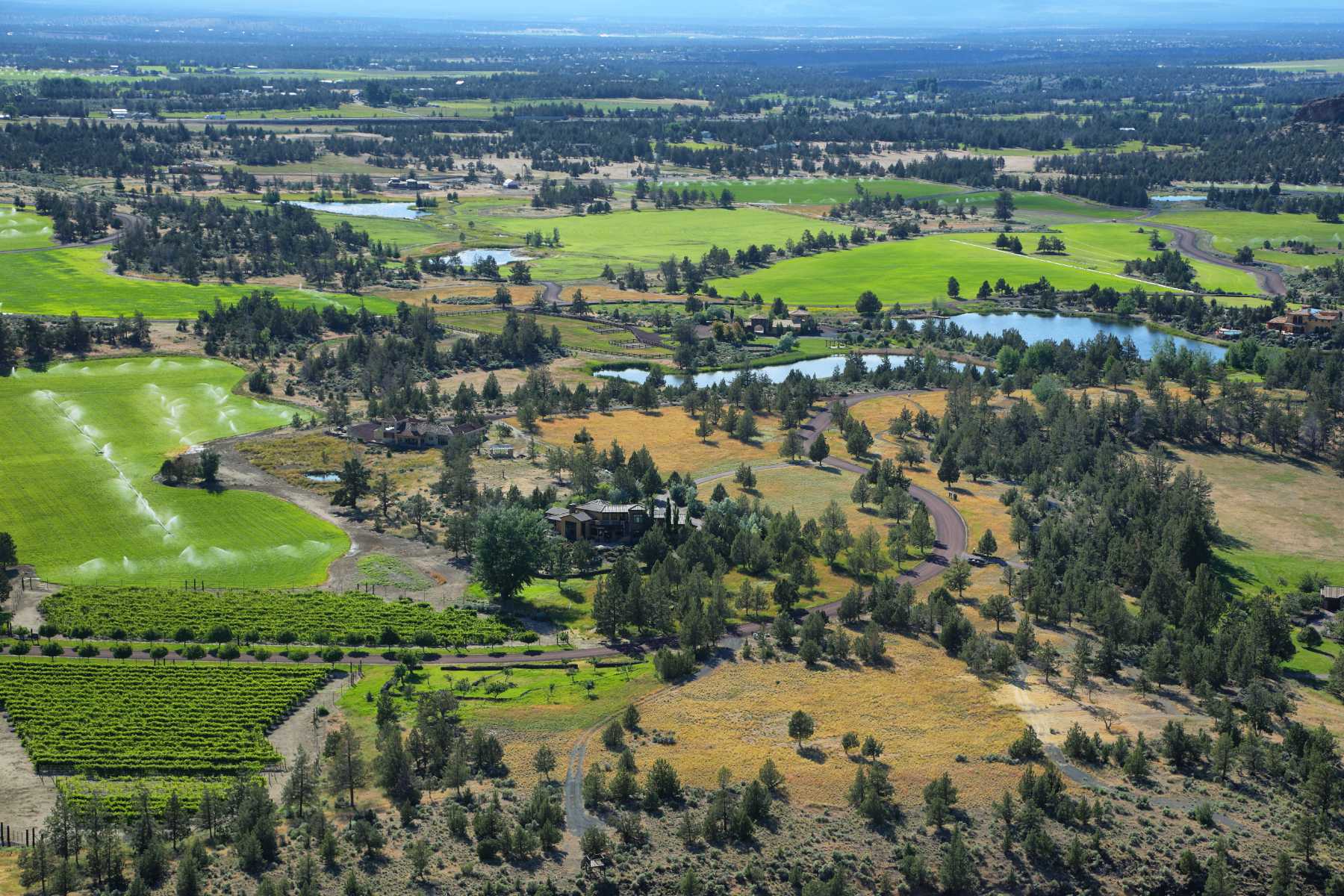 How to Evaluate an Acreage Property Before You Buy