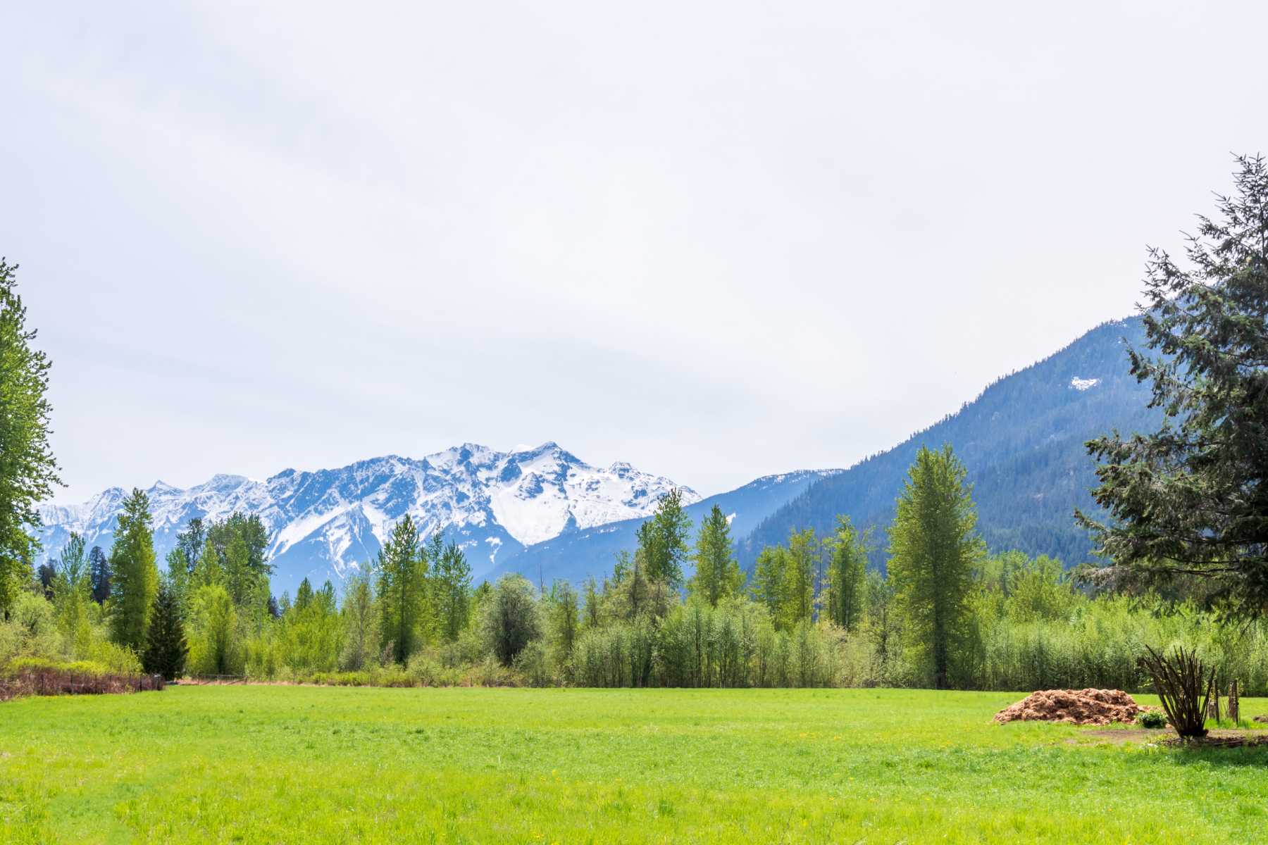 Why Acreage Properties Continue to Attract Buyers in BC