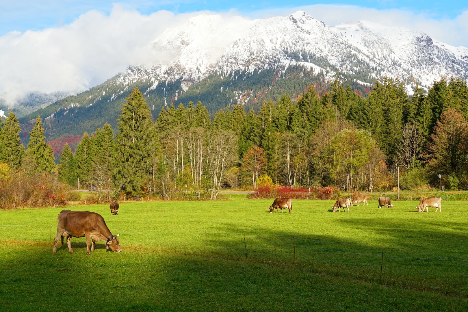 What Makes Fraser Valley Farm Properties So Desirable